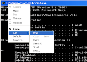 copy text command prompt