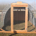 How To Build A Quail Coop