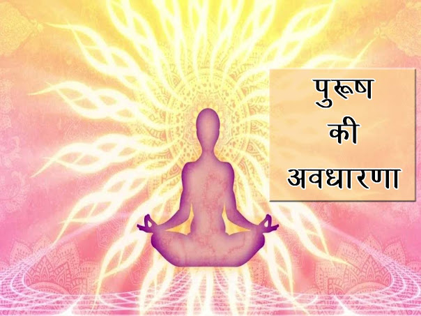 पुरुष की अवधारणा | पुरुष शब्द का अर्थ पुरुष का स्वरुप | Concept of Purusha in Yoga