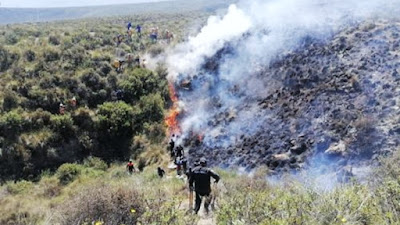 Incendio forestal afectó a 100 hectáreas de vegetación en Arequipa