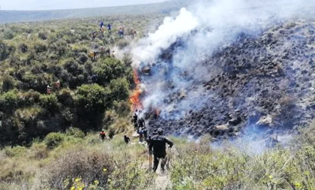 Incendio forestal Arequipa