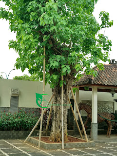 TUKANG TAMAN JABODETABEK