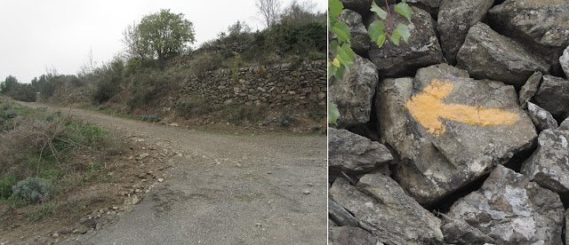 Santes Creus a Prenafeta - Camí de Sant Jaume de Compostela