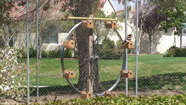 Diy Bird Feeder Pole