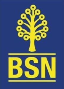 Kerja kosong BSN 2015