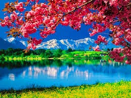 Dreaming Nature Wallpaper