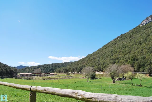 Vall d'en Bas en La Garrotxa