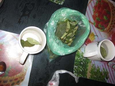 of hot water to make mate de coca You'll feel better pretty quickly of hot water to make mate de coca You'll feel better pretty quickly