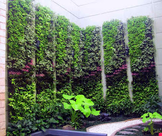 Vertical garden