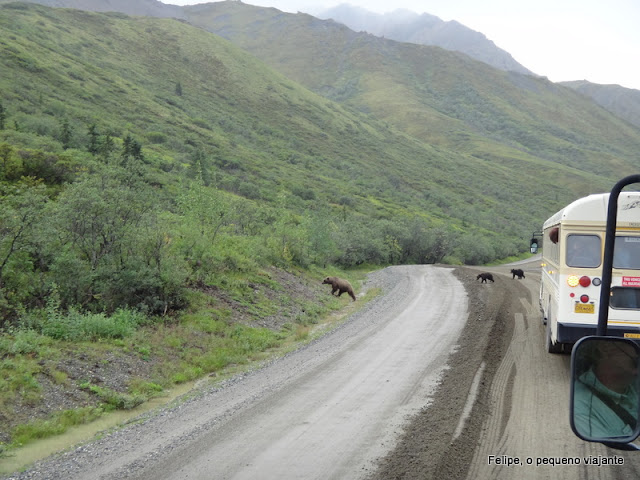 denali_national_park_alaska