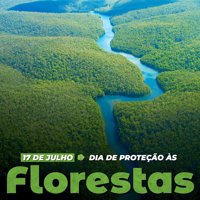 17 de julho - Dia de Proteção às Florestas!