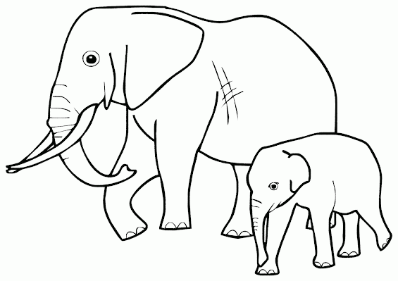 Gambar Kartun Gajah Hitam Putih