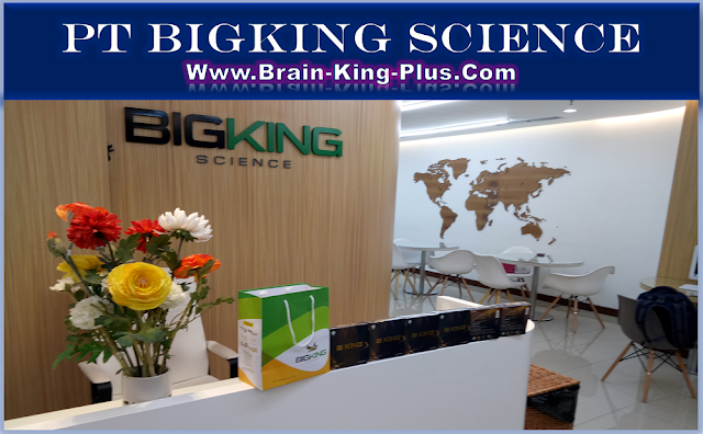 http://www.brain-king-plus.com/#