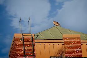 Christo on the roof of the Christodora.