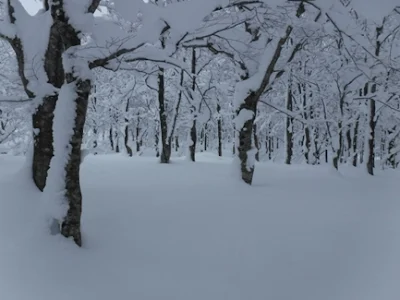 深雪の森