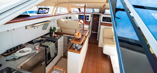 pegasus yacht 50 price