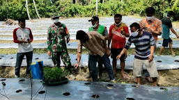 Tingkatkan Ketahanan Pangan, Babinsa Bersama PPL Simeulue Berikan Penyuluhan Pertanian