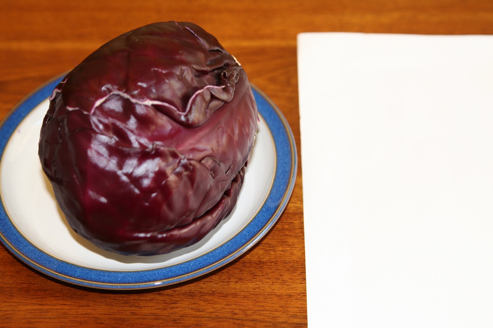 Red cabbage, blocking paper.
