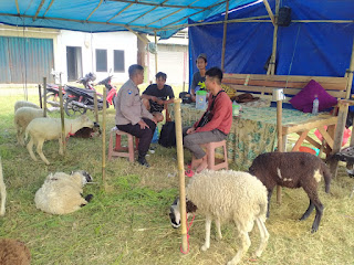 Sampaikan Himbauan Kamtibmas, Anggota Bhabinkamtibmas Polsek Kasemen Polresta Serkot Sambangi Penjual Hewan Qurban