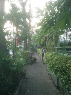 Photo344
