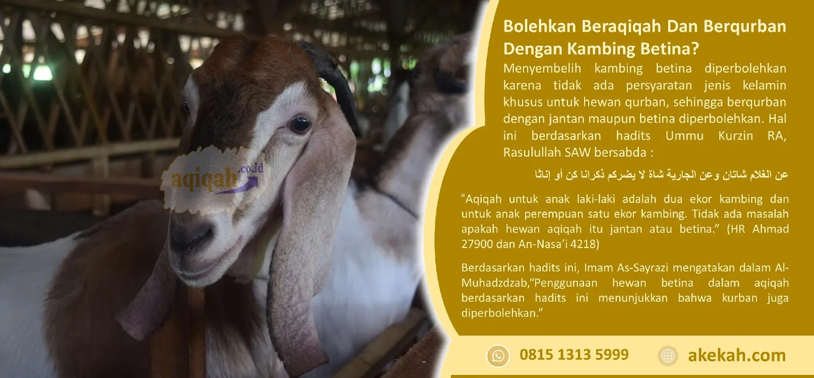 Harga Catering Akikah Purwosari Gunungkidul DI Yogyakarta