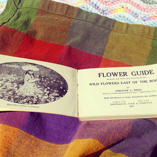 A Flower Guide