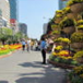 View album