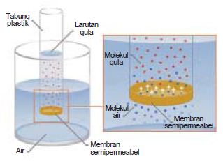 Pengertian, Sejarah, Tokoh dan Negara-Negara Penganut Paham Sistem ...