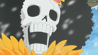 ワンピースアニメ パンクハザード編 595話 ブルック | ONE PIECE Episode 595