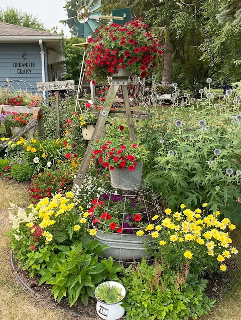 Photo of a junk garden border with ladder