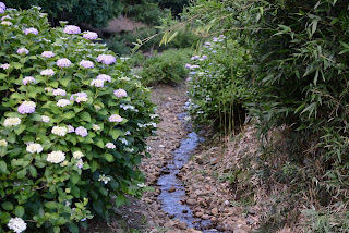 南指原ほたるの里紫陽花