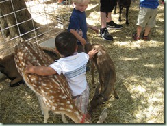 IMG_5745 IMG_5745