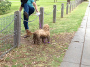 . Monday, I noticed that people must be hopping over the little chain and . (trying out the chain jumping)