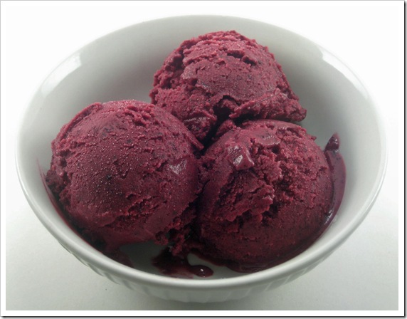 blueberry sorbet-1