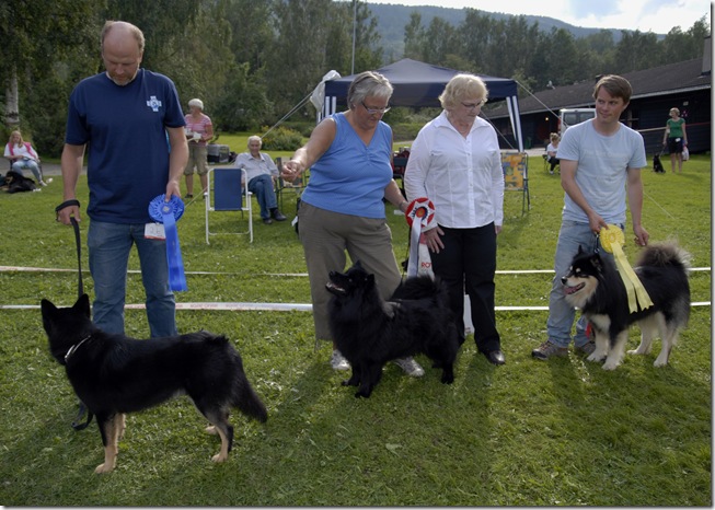 Lapphund utst Biri09_2505_edited-1