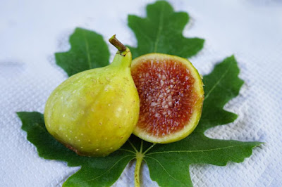 LUNGA DE AGUSTO Figs