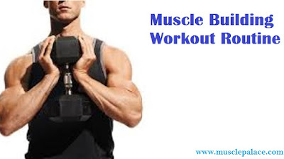 Workout Routine for Muscle Growth