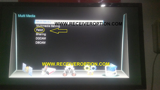 NEWSAT 990D HD RECEIVER BISS KEY OPTION