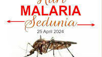 RSUD. A. Makkasau Peringati Hari Malaria