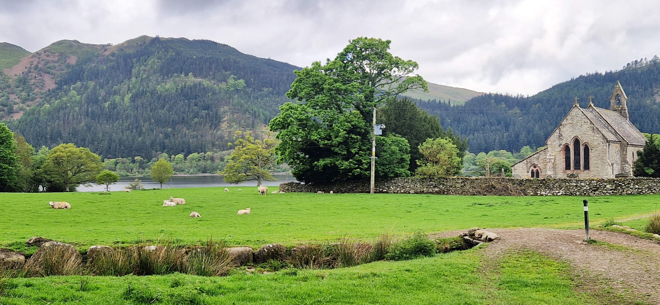 Peaceful scene from the Lake District in spring with sheep grazing and St Begas church near the Mirehouse in the corner, on the banks of Bassenthwaite Lake