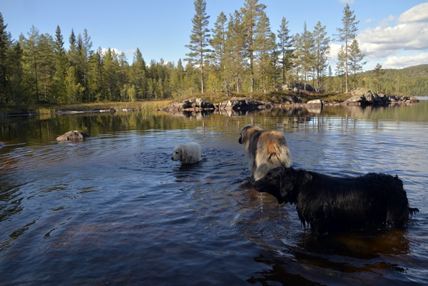 Øvre Kollsjø'n