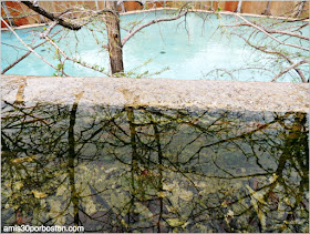 Fort Worth Water Garden: Quiet Water Pool