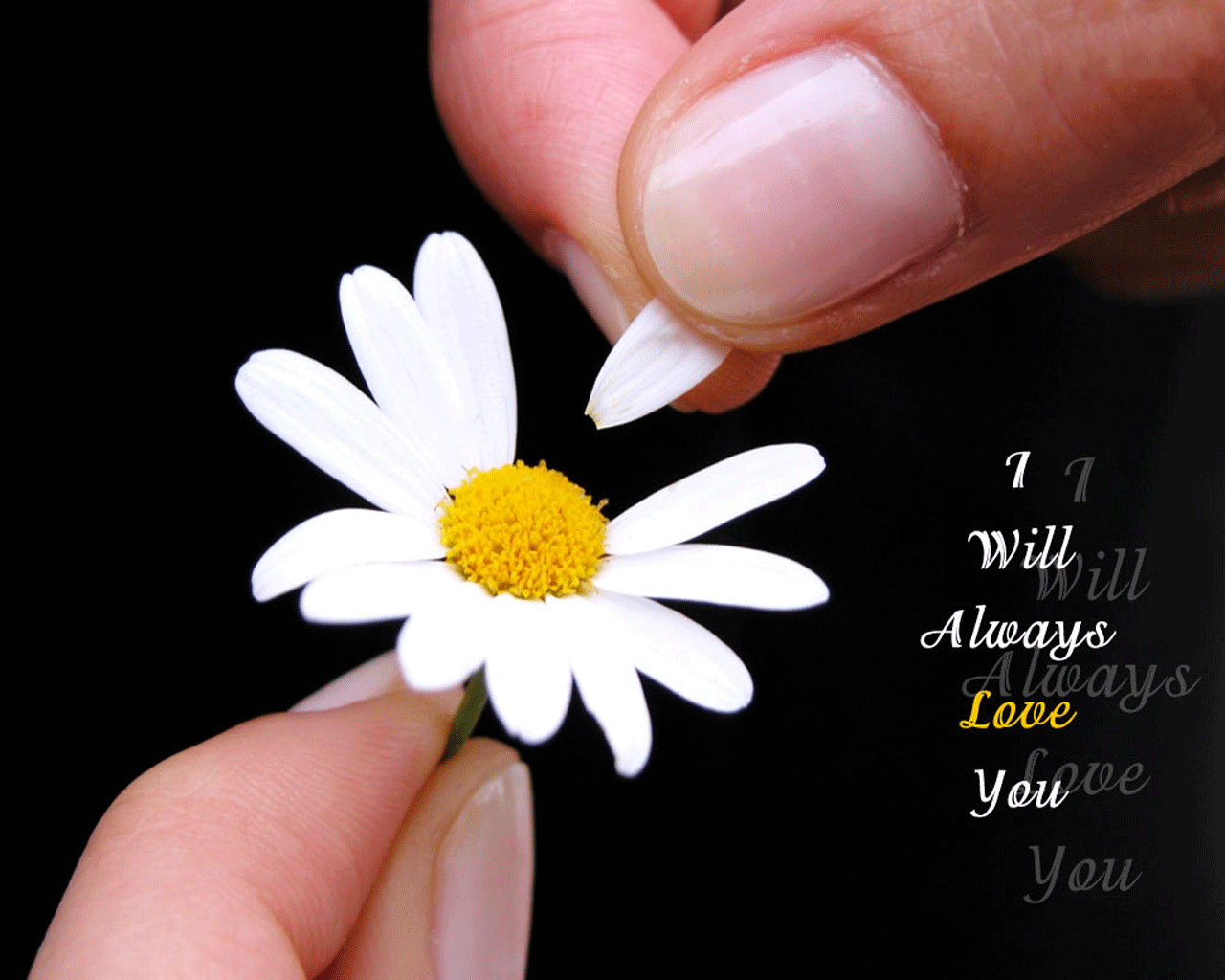 All photos gallery: Short funny sayings, funny short 