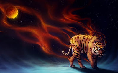 Tiger Hd Wallpapers