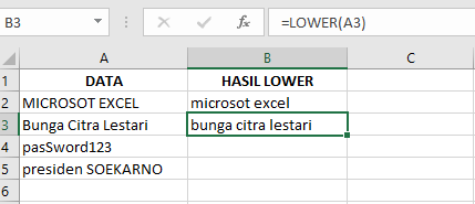 Cara Memasukkan Fungsi LOWER pada Microsoft Excel