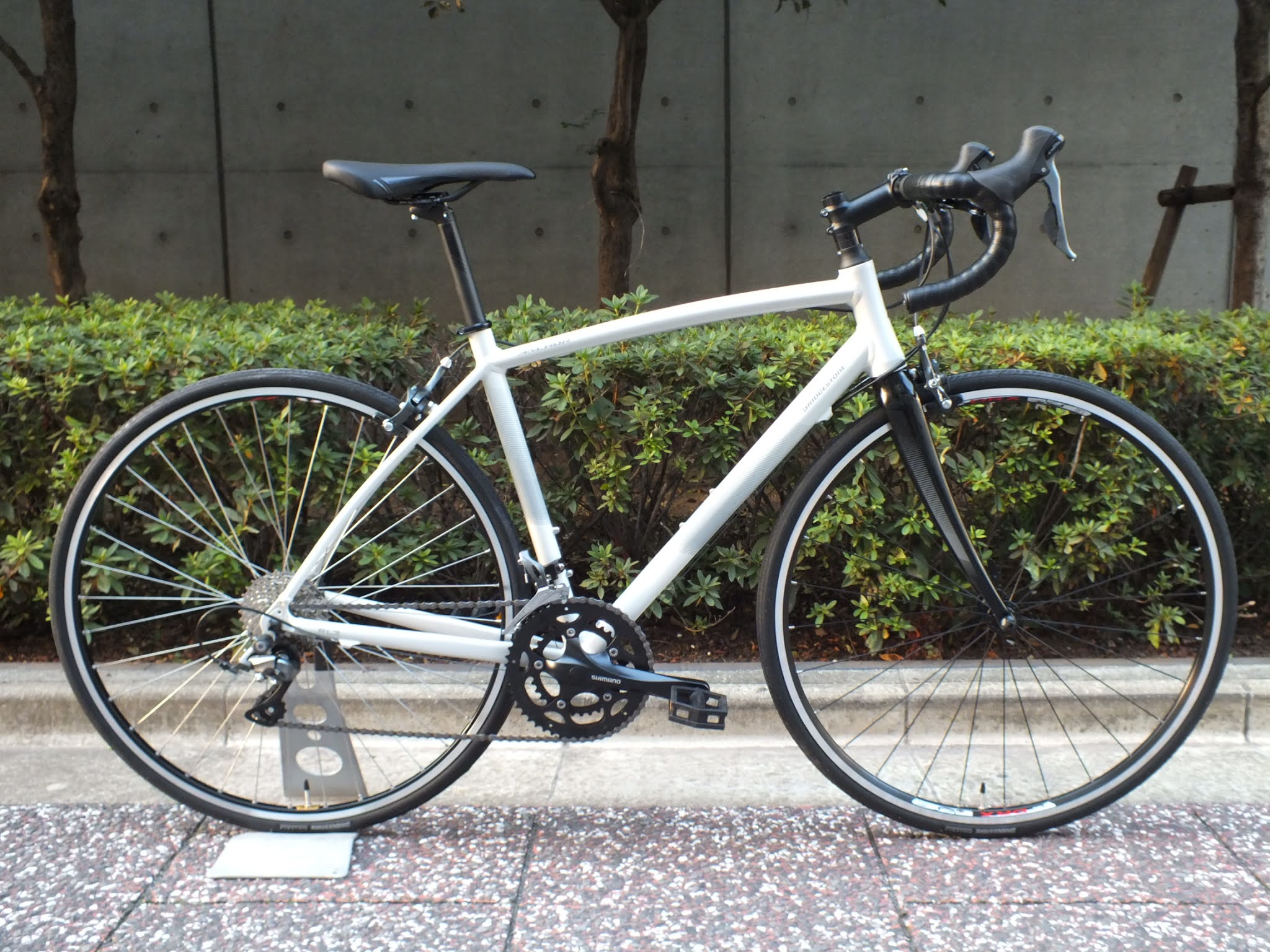 Avelo Bicycle Shop 12月