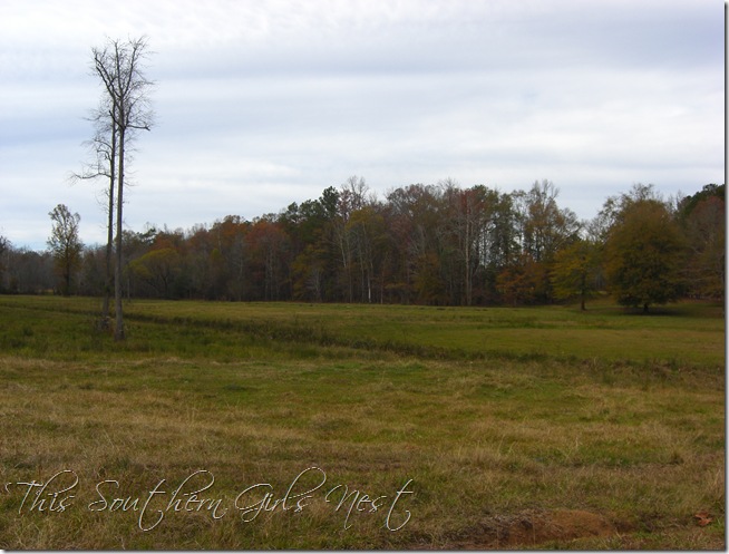november 2009 076