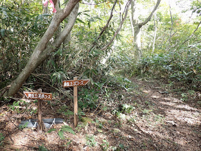 医王山 沢コース・尾根コース分岐点