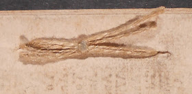 Image of side stiched binding knot