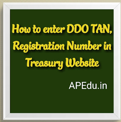 How to enter DDO TAN,  Registration Number in  Treasury Website